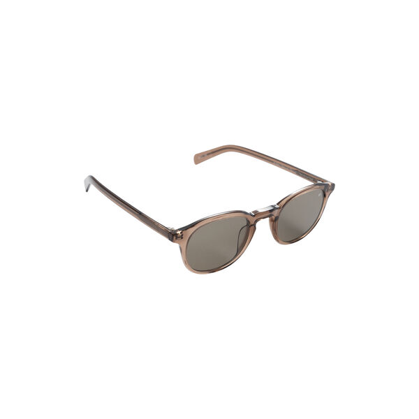 Alden Sunglasses, transparent coffee brown, AY Studios