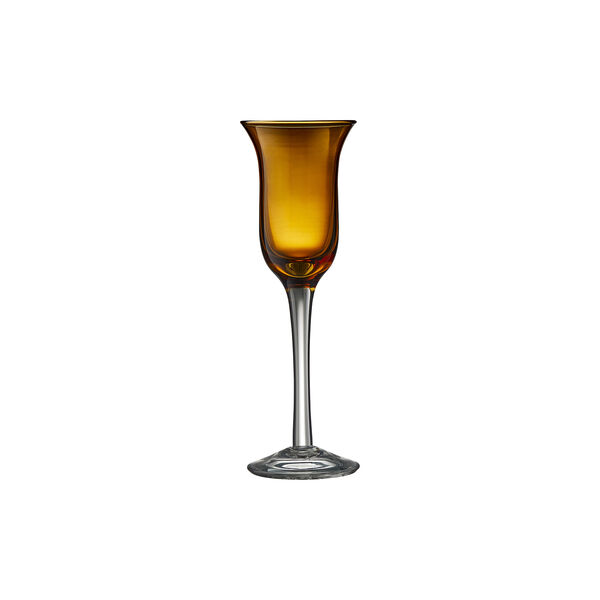 Snapseglas 6 stk., Lyngby Glas