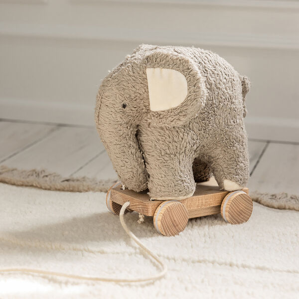 Fanto trækdyr, grey, Sebra