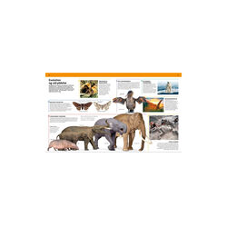 Familiens store bog om dyreriget, Forlaget Globe