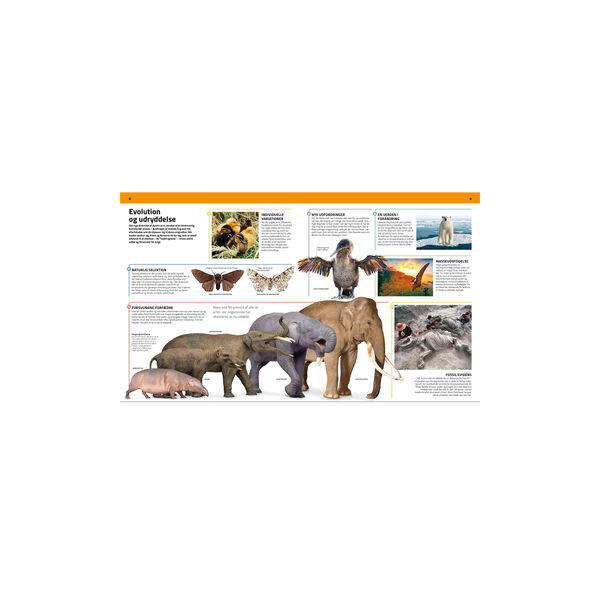 Familiens store bog om dyreriget, Forlaget Globe