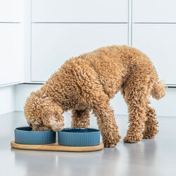 Kronborg Food Bar, petrol blue, DOG Copenhagen