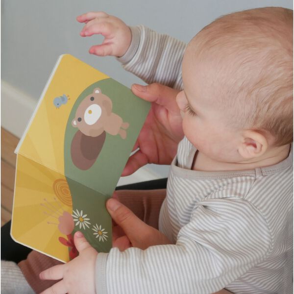 Teddys bog, multi colour, Franck & Fischer