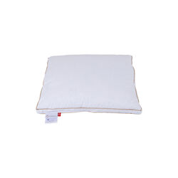 Svinedrengen hovedpude, Ringsted Dun