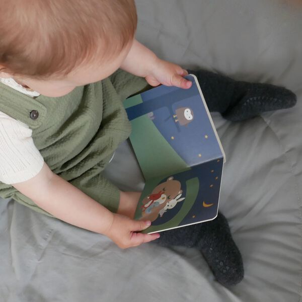 Teddys bog, multi colour, Franck & Fischer