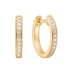 Lumin Shine &Oslash;reringe, Studio Z