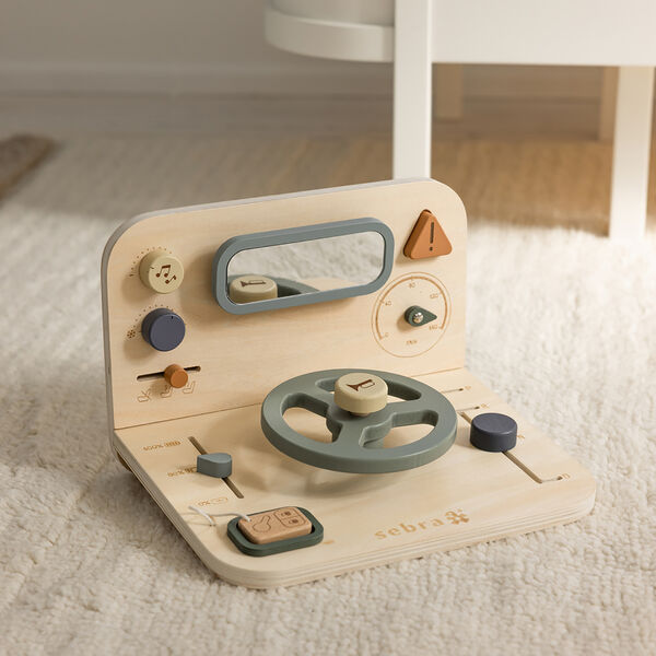 Bil aktivitetspanel, Sebra