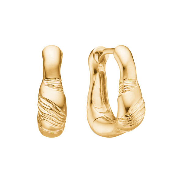 Glacier &Oslash;reringe, Studio Z