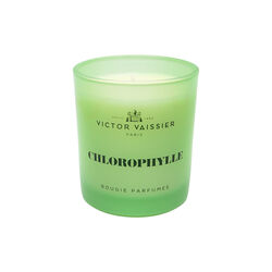 Duftlys Chlorophylle, Victor Vaissier