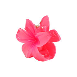 Plumeria Bella Big, pink, SUI AVA