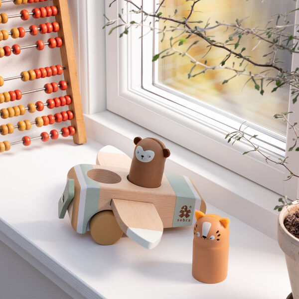 Wildlife flyer, Sebra