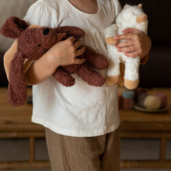 Den trofaste hund med kappe, Sleeping Hero