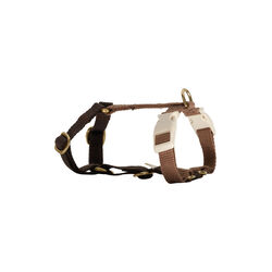 Bl&oslash;d & justerbar hundesele, chocolate, Drew's Dogwear
