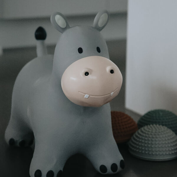 Holger the Hippo Jumping Animal, Find that hippo