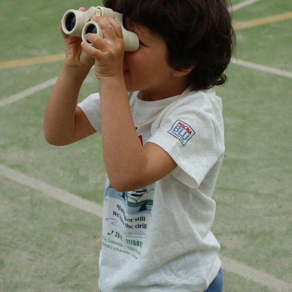 Explorer Binoculars, lemon aop, Konges Sl&oslash;jd