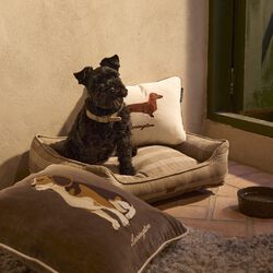 Dog Pillow, lt beige multi, Lexington