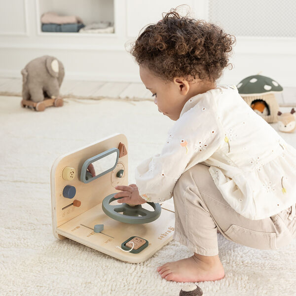 Bil aktivitetspanel, Sebra