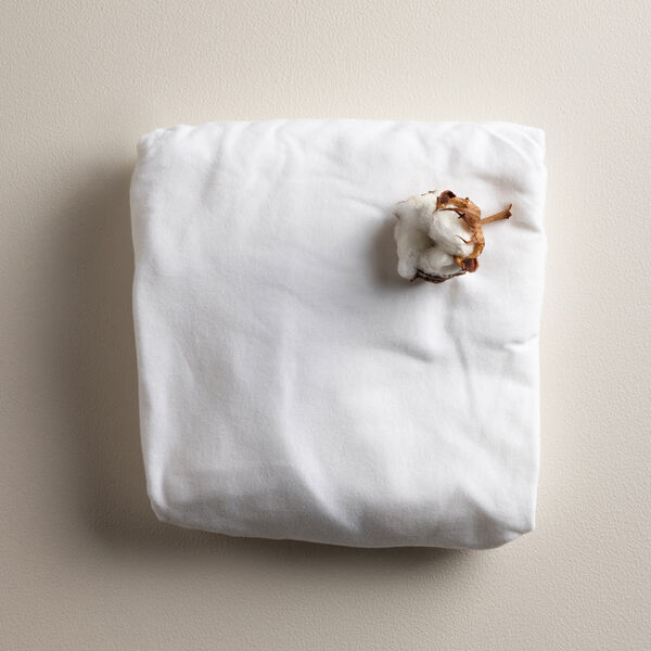 Junior jersey lagen, Sebra