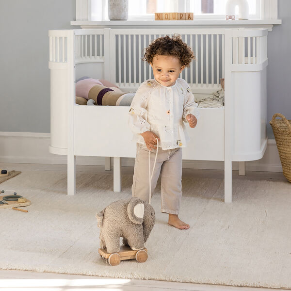 Fanto trækdyr, grey, Sebra