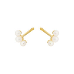 Ocean Pearl &oslash;restikker, guld, Pernille Corydon Jewellery