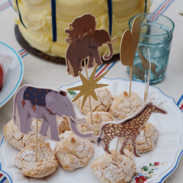 Safari Kit, Konges Sl&oslash;jd