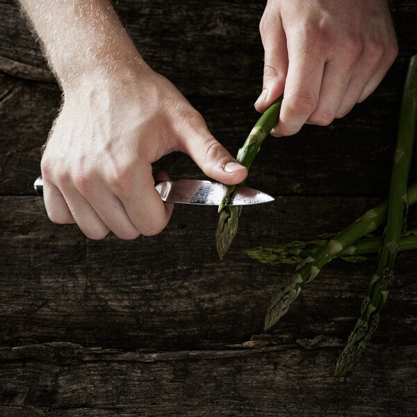 Urtekniv, Gastrotools