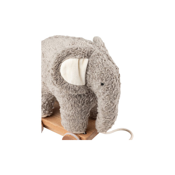 Fanto trækdyr, grey, Sebra