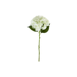 HDHydrangea Kunstig blomst, House Doctor