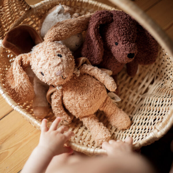 Den lyttende kanin med kappe, Sleeping Hero