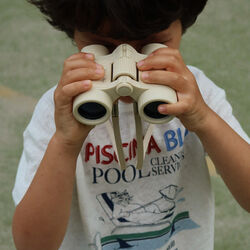 Explorer Binoculars, lemon aop, Konges Sl&oslash;jd