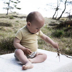 Baby Body Short Sleeve, chamomile, Serendipity