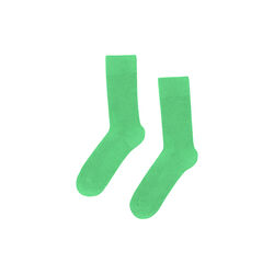 Classic Organic Sock, spring green, Colorful Standard