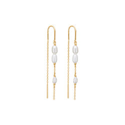 Perma &Oslash;reh&aelig;nger, Studio Z