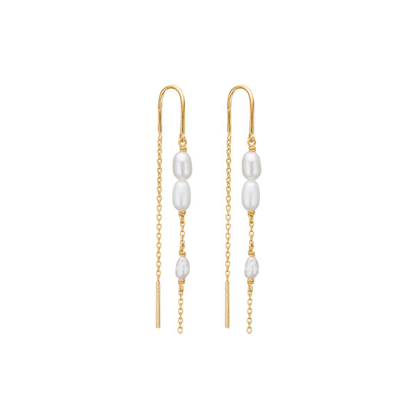 Perma &Oslash;reh&aelig;nger, Studio Z