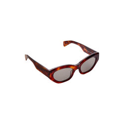 Blaze Sunglasses, classical havana, AY Studios