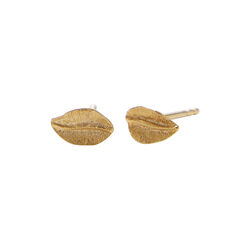 Elm Leaf &Oslash;restikker, forgyldt, Pernille Corydon Jewellery