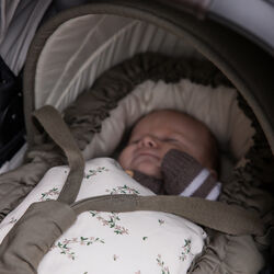 Kaleche til 3-i-1 babynest, dark olive, Sebra