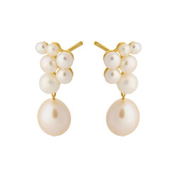 Ocean Treasure Ørestikker, forgyldt, Pernille Corydon Jewellery