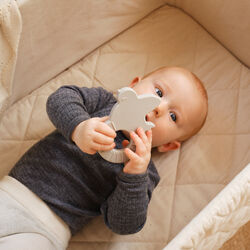 Bidering, blue mix, Moonboon