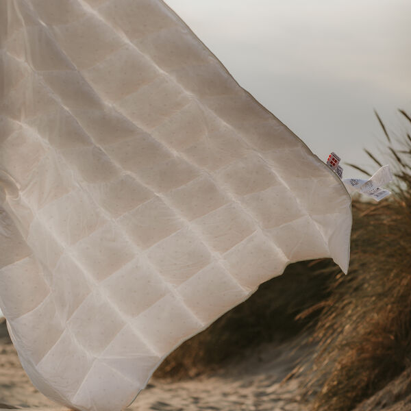 Summer dyne, Fossflakes