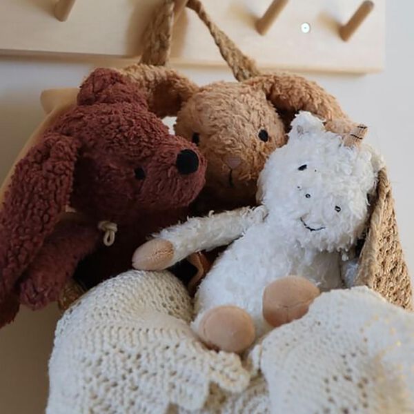 Den trofaste hund med kappe, Sleeping Hero