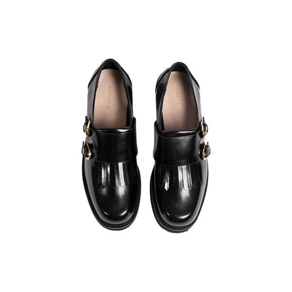 Coccinellecampus Shiny, noir, Coccinelle