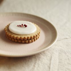 Colorit tallerken &Oslash; 19 cm, rose, Knabstrup Keramik