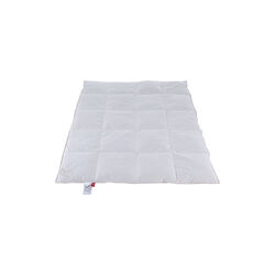 Kiddy Royal juniordyne, Ringsted Dun