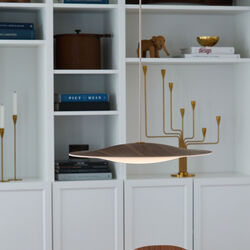 Sinus Wood 550P Pendant, walnut, Piet Hein