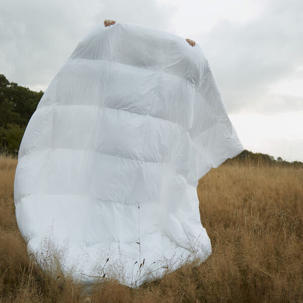 Winter dyne, Fossflakes