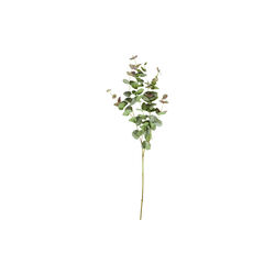 HDEucalyptus Kunstig blomst, House Doctor