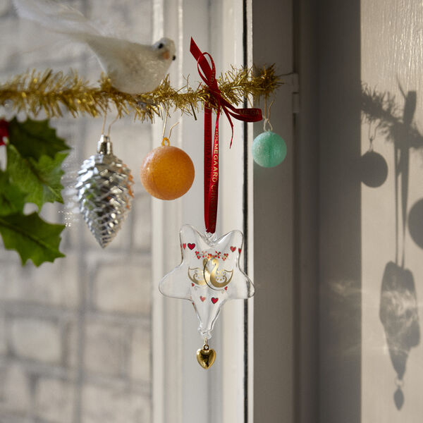 Ann-Sofi Romme Årets julestjerne 2025, Holmegaard