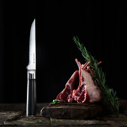 Udbenerkniv, Gastrotools