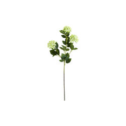HDViburnum Kunstig blomst, House Doctor